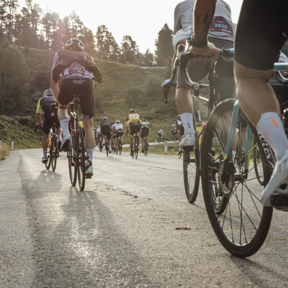Radfahrer-Gruppe auf Bergstraße bei Sonnenaufgang | © © Lukas Ennemoser