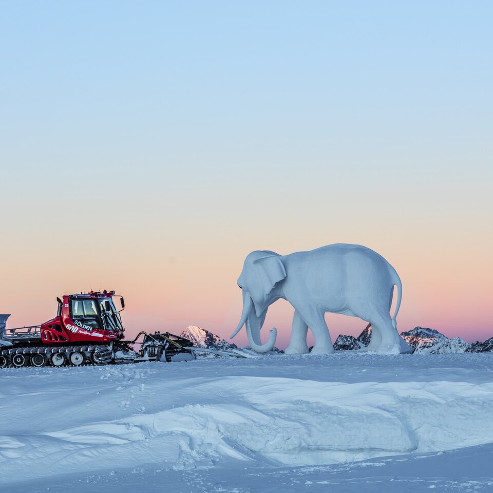 Elefant aus Schnee