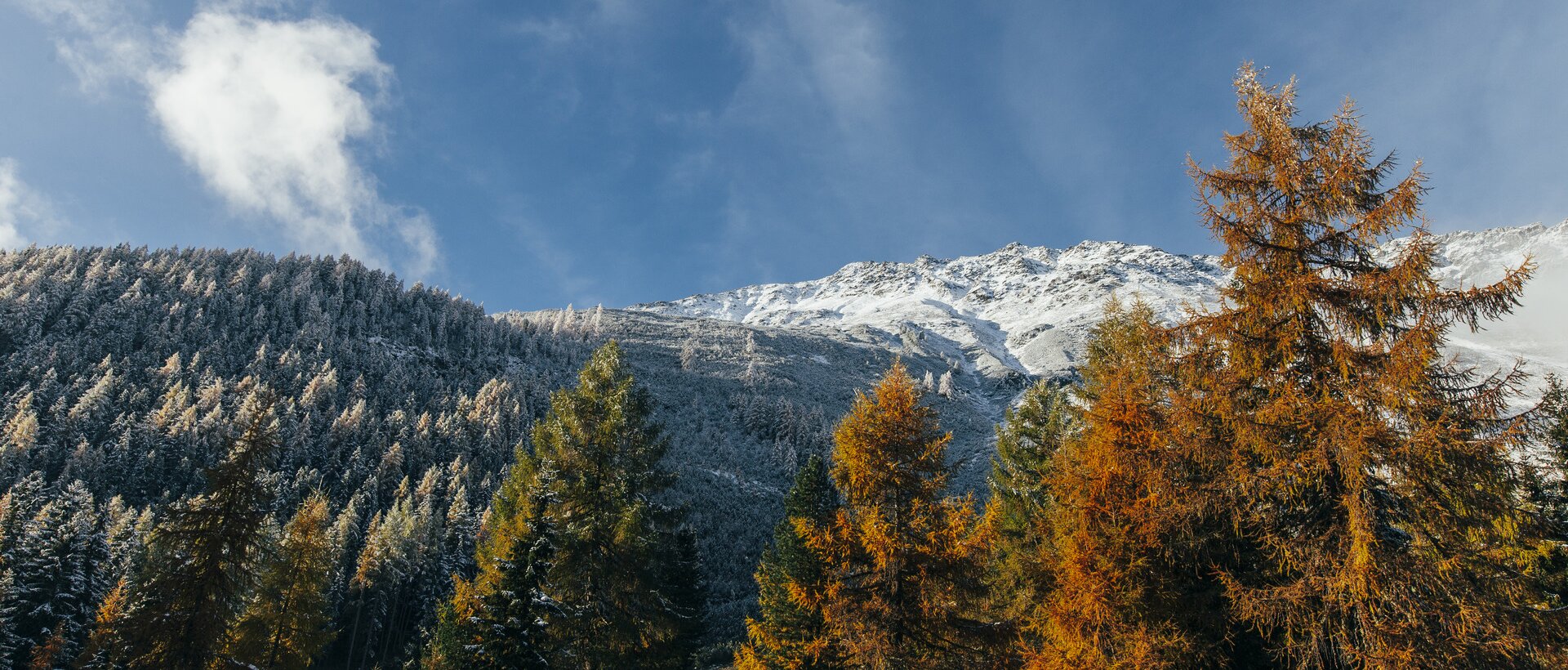 autumn in the Ötztal valley