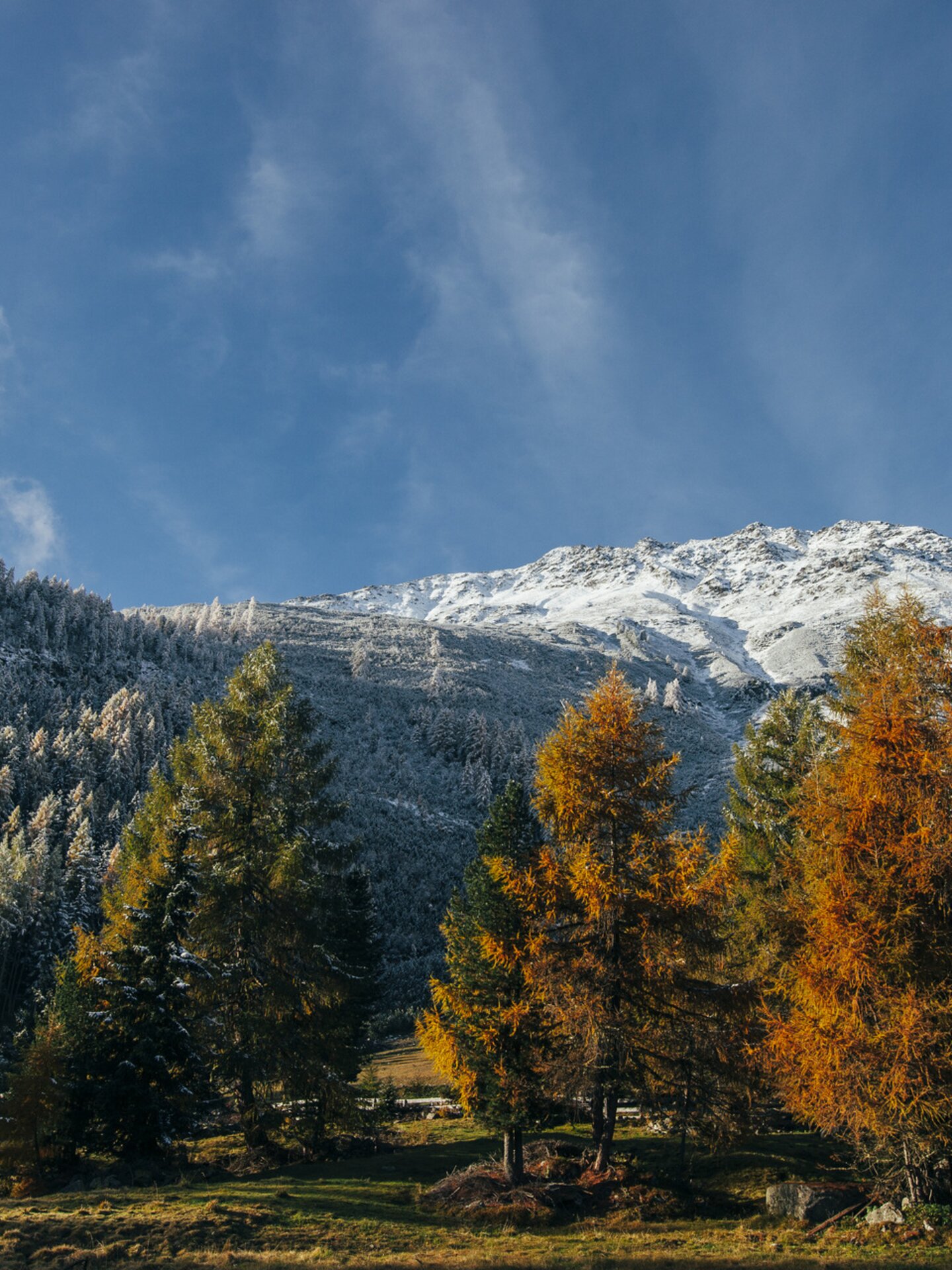 autumn in the Ötztal valley