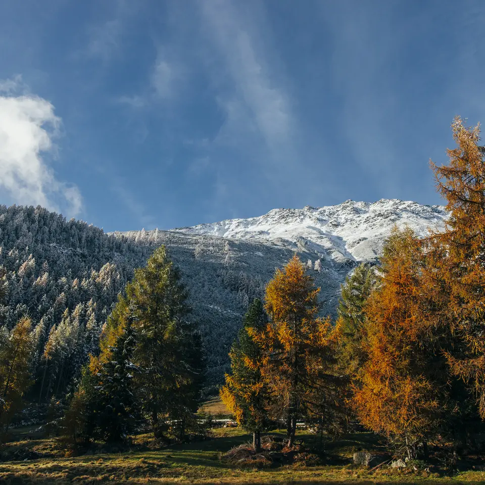 Herbst im Ötztal