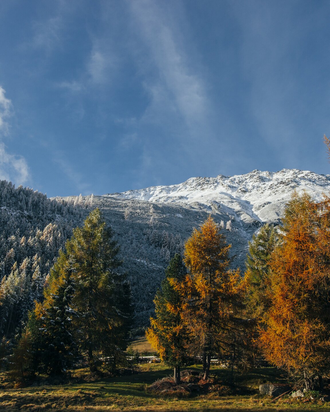 autumn in the Ötztal valley